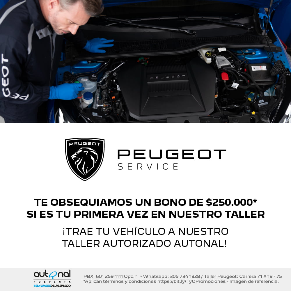 Taller Peugeot Bono 1000x1000
