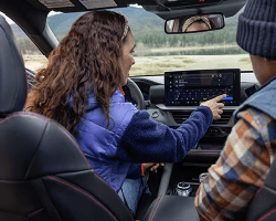 Control y manejo adaptables