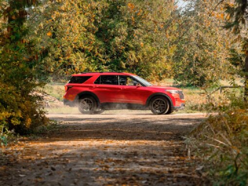 Imagen 2026 01 27 154628875