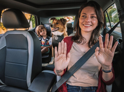 Life T Cross Interno 2021 Baloes Cachorro Familia 6000x4000px 01