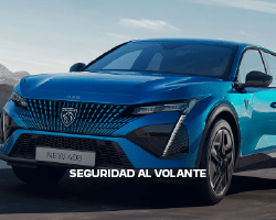 SEGURIDAD AL VOLANTE