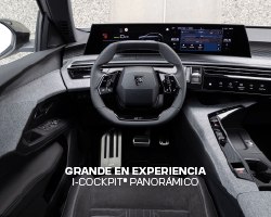 GRANDE EN EXPERIENCIA