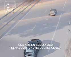 FRENADO AUTÓNOMO DE EMERGENCIA