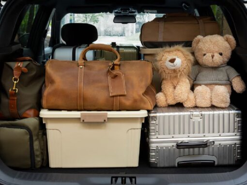 Imagen 2026 02 23 175933913