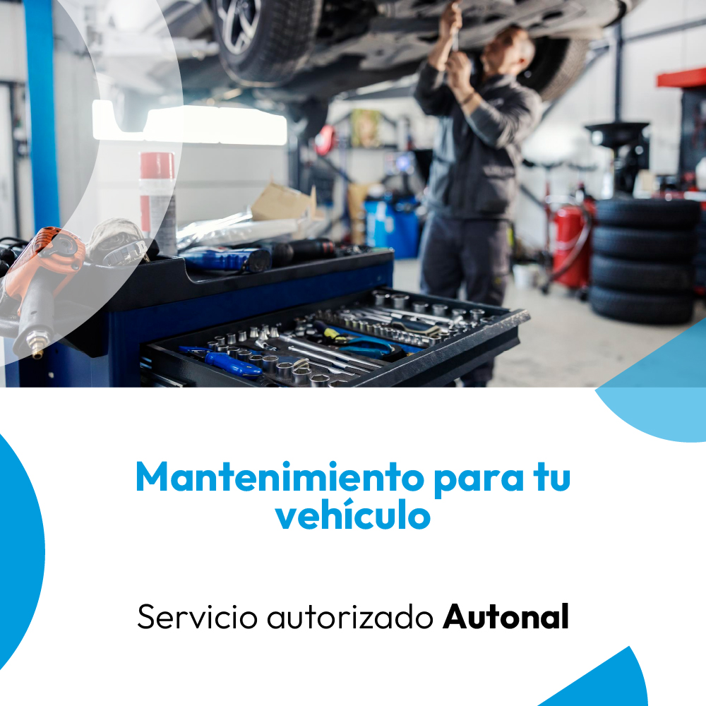 Banners Web Autonal 12