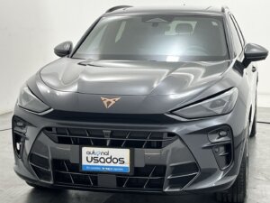 Carro Usado Terramar Dynamic 2026 (25)