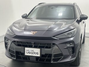 Carro Usado Cupra Terramar (25)