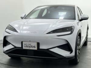 Carro Usado Byd Senil 2024 (25)