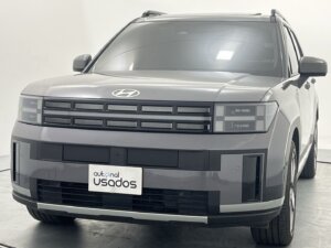 Carro Usado Hiunday Santafe 2026 (25)
