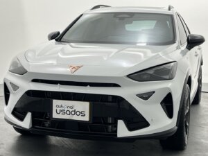 Carro Usado (25)