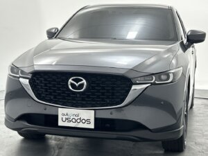 Carro Usado (25)