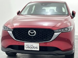 Carro Usado (25)