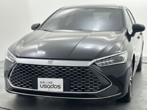 Carro Usado Byd Segull 2020 (25)
