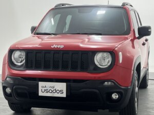 Carro Usado Jeep Renegade (25)