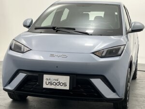 Carroi Usado Byd Seguoll 2024 (25)